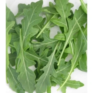 resized300_Seminte rucola Wild rocket.webp Seminte de Rucola Wild Rocket, 1 gram, Opal